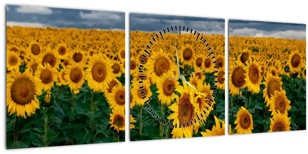 Tablou câmpului de floarea soarelui (cu ceas) (90x30 cm)