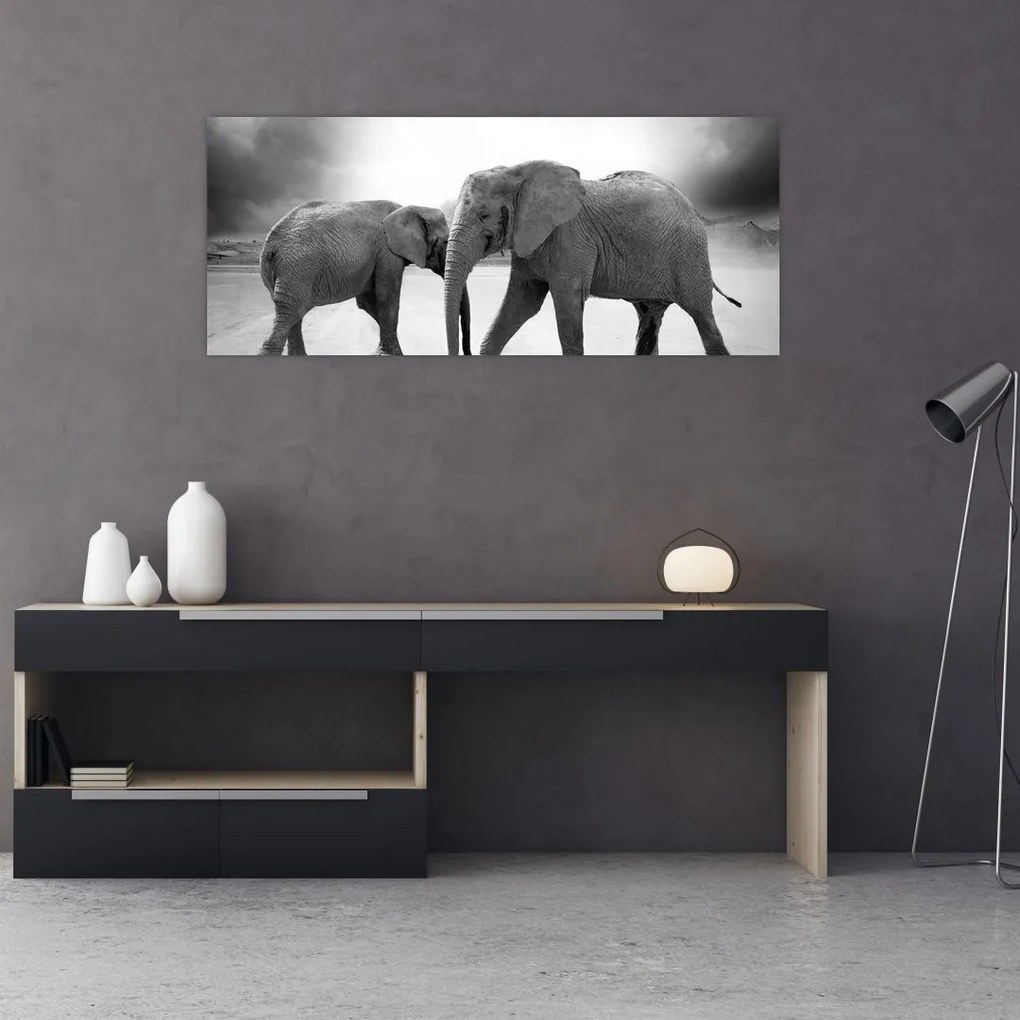 Tablou cu elefanți (120x50 cm)