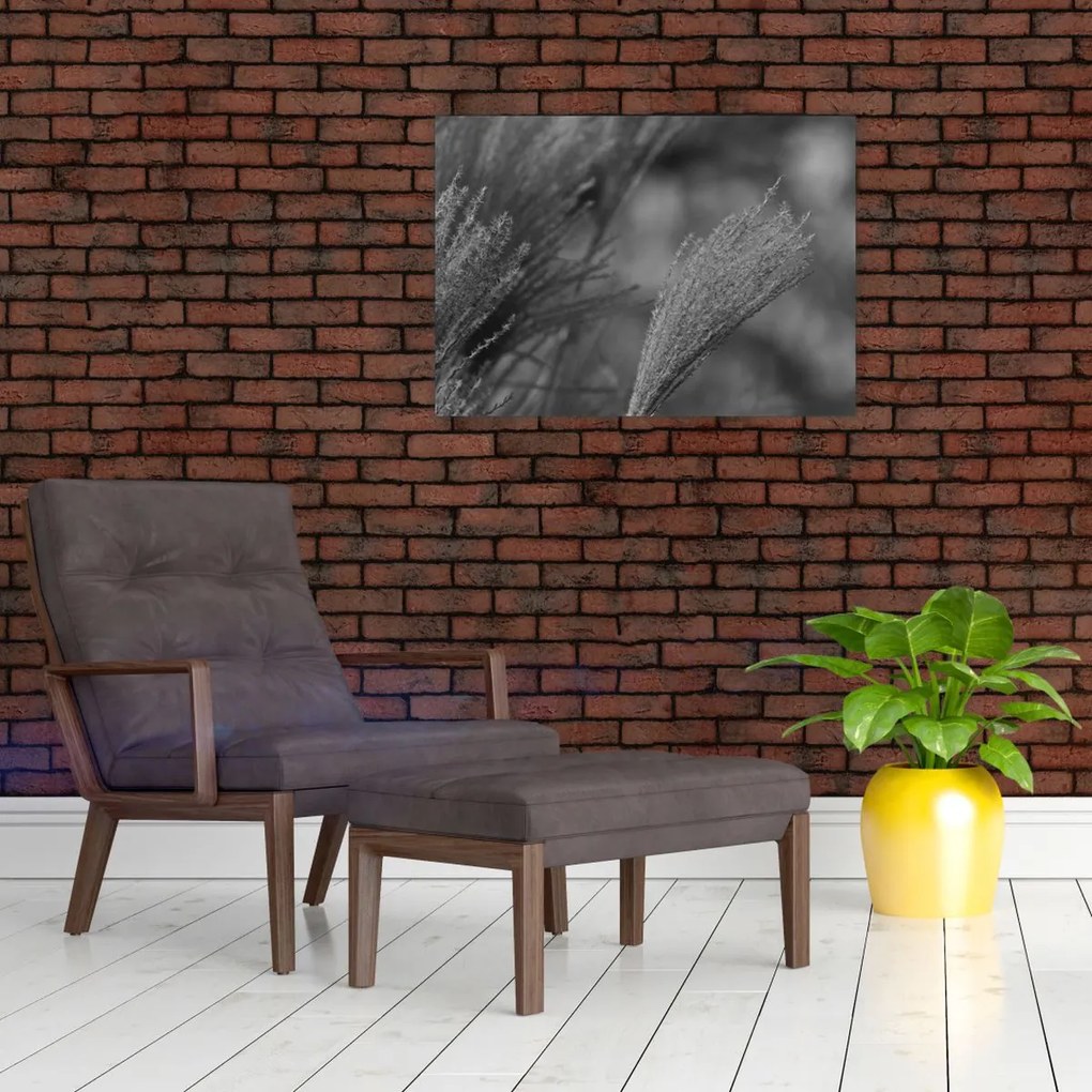 Tablou - Iarbă de pampas uscată (70x50 cm)