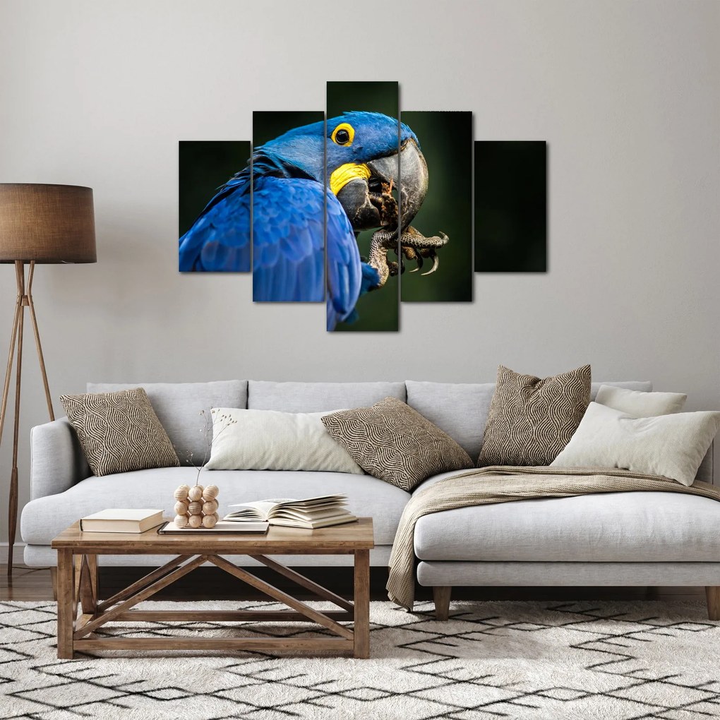 Tablou cu papagal (150x105 cm)
