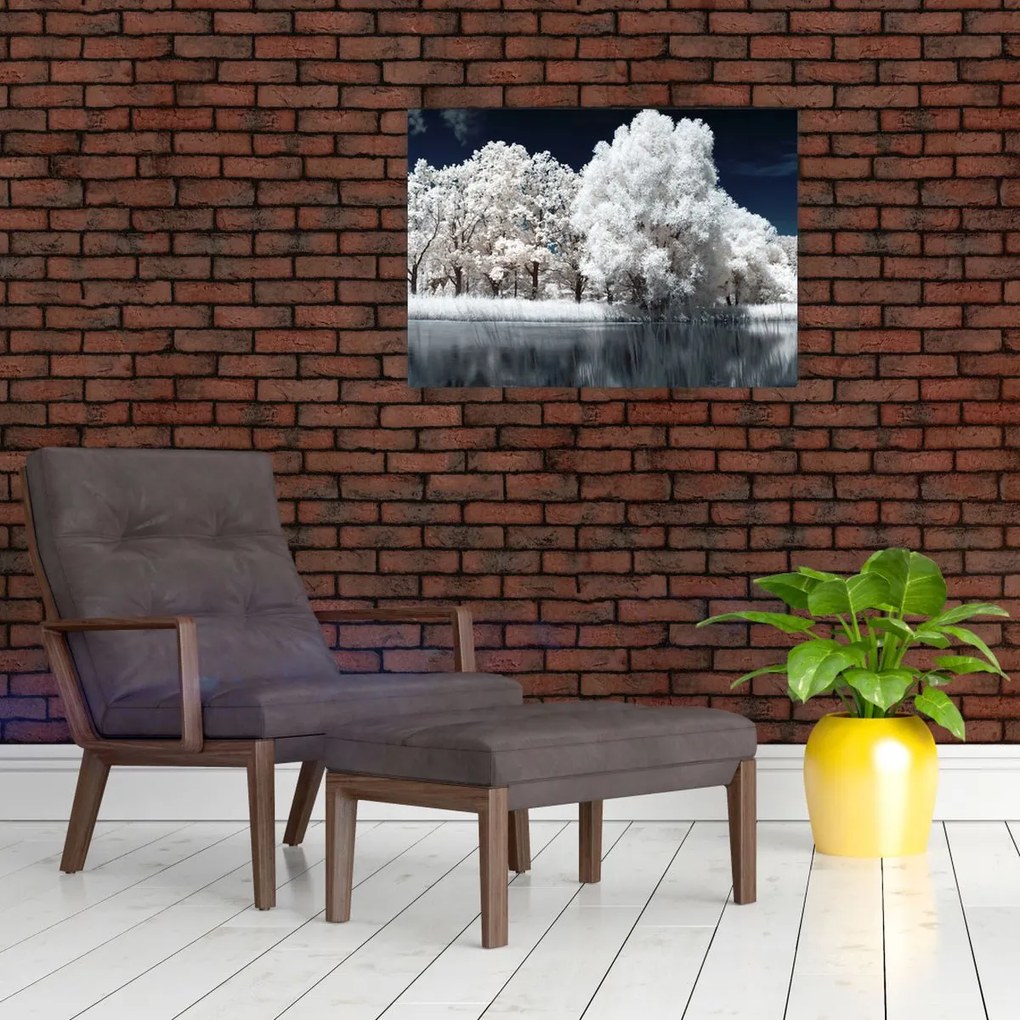 Tablou pe sticlă - Albă ca Zăpada Albă ca Zăpada Copaci (70x50 cm)