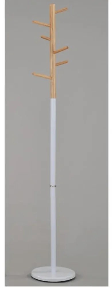 Cuier Hotyr. 808215