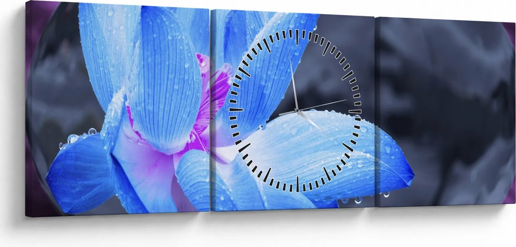 Tablou florilor în detailu (cu ceas) (90x30 cm)