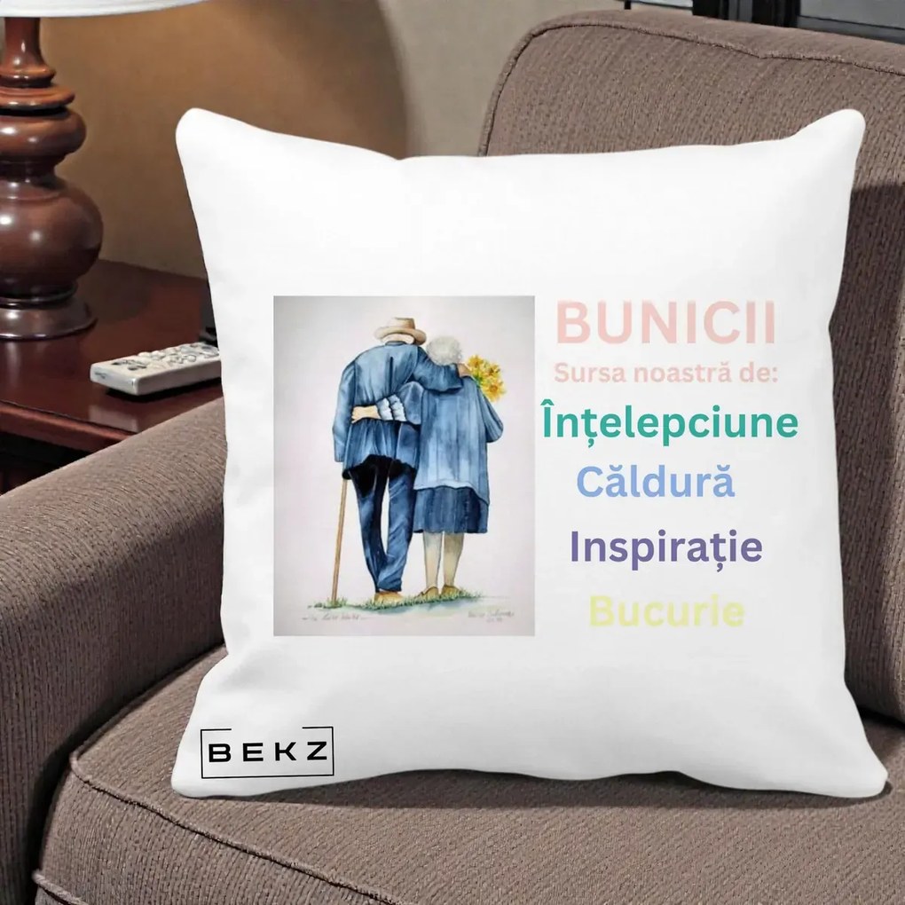 Cadou pentru Bunici - Perna Personalizata Bunicii Sursa Intelepciune Caldura Acuarela, 40x40 cm, Alba Mata, Husa Detasabila, Perna Inclusa, BEKZ®