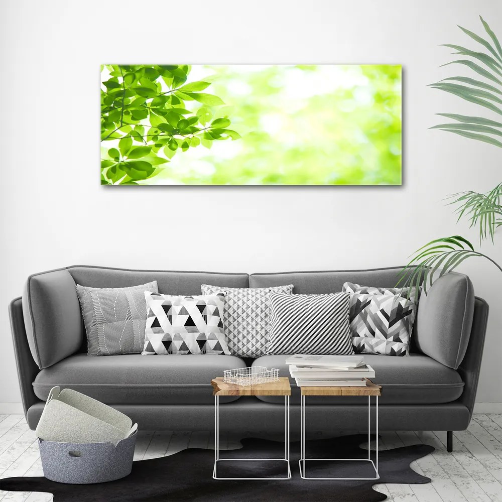 Print pe canvas Frunze