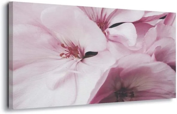 GLIX Tablou - Pink Petals 60x40 cm