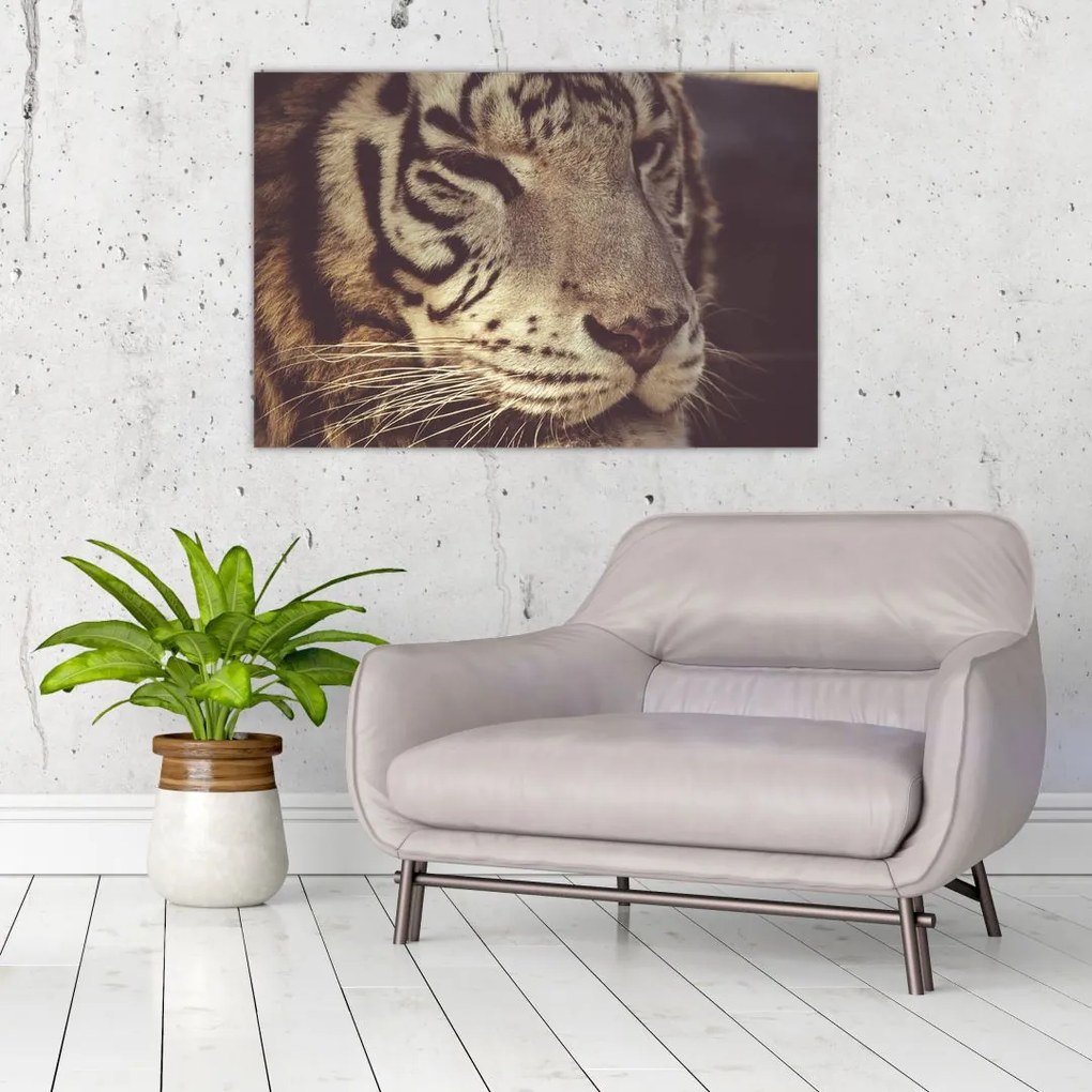 Tablou cu tigrul (90x60 cm)