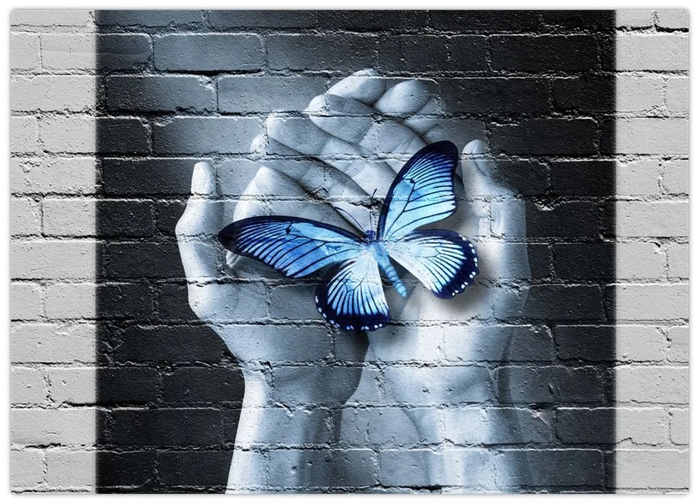Tablou pe sticlă - Fluture pe perete (70x50 cm)