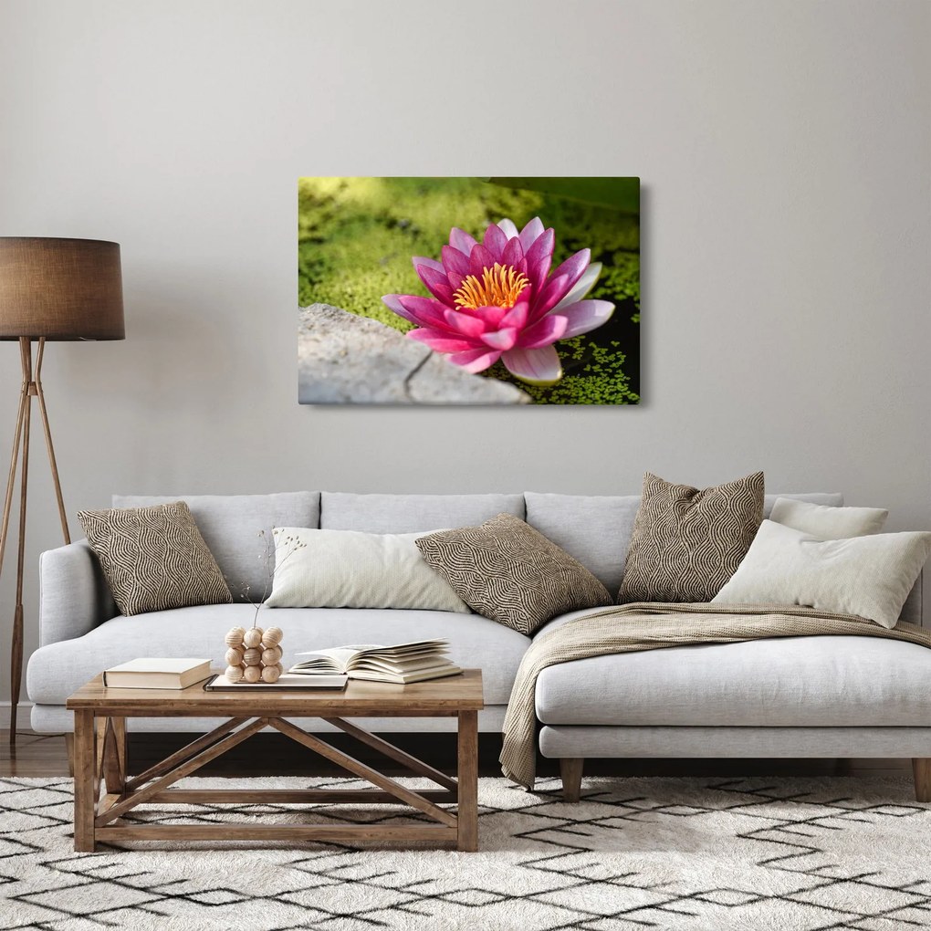 Tablou - Lotus (90x60 cm)