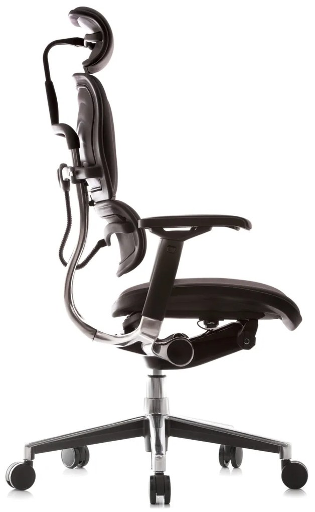 Scaun de birou - ERGOHUMAN2 PDH ULTRA BLACK FRAME W09-01+ALU BASE - precomanda 7-12 zile (Termen de livrare: 7 zile)