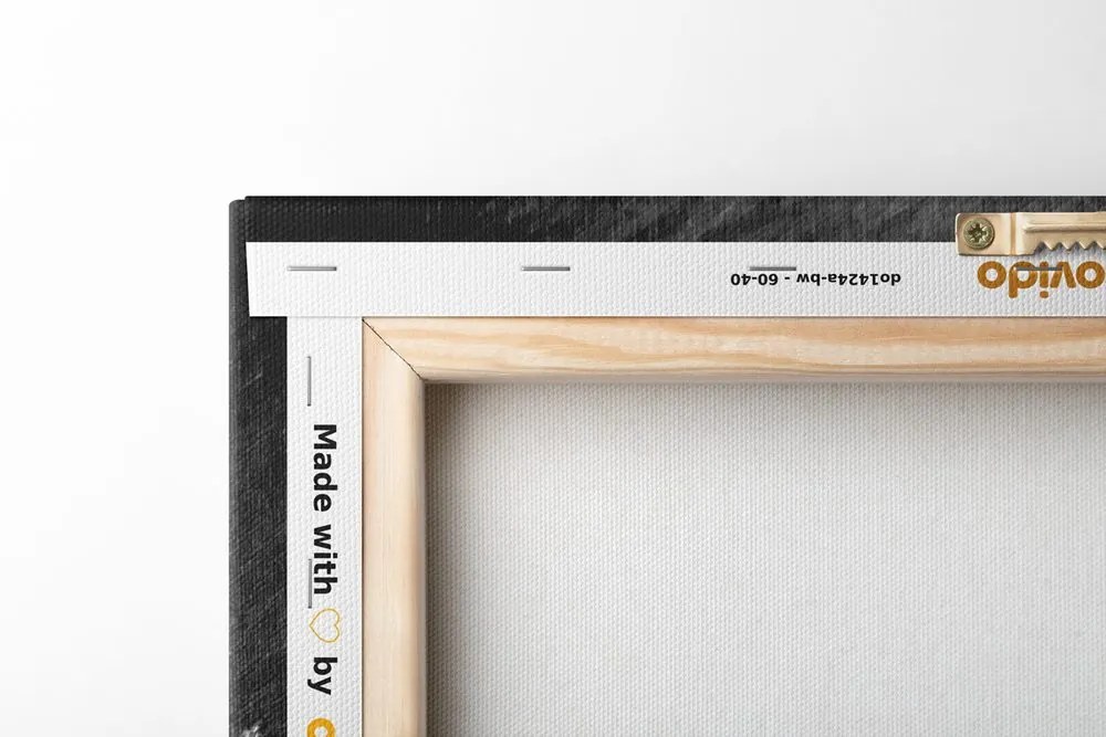 Tablou maci pe câmp pictate în design alb-negru