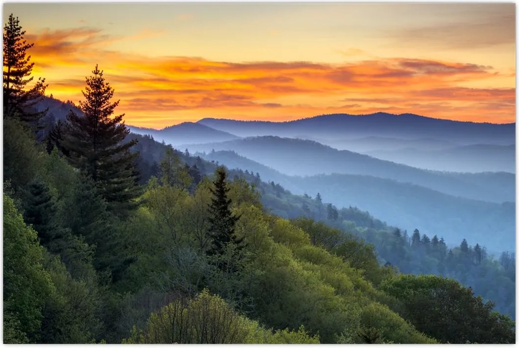 Tablou - răsărit de soare (90x60 cm)