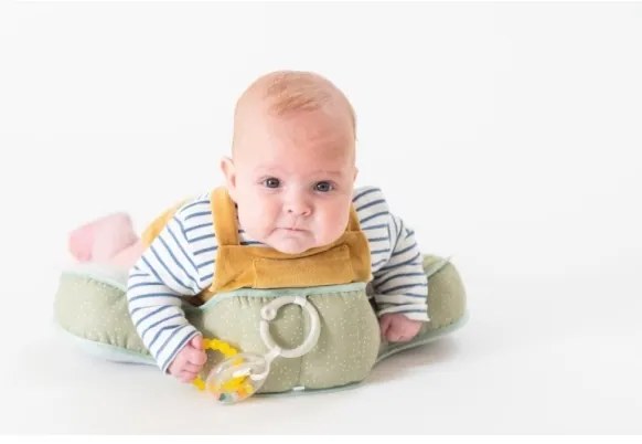 Pernă de joacă pentru burtică TUMMY-TIME savană Taf Toys