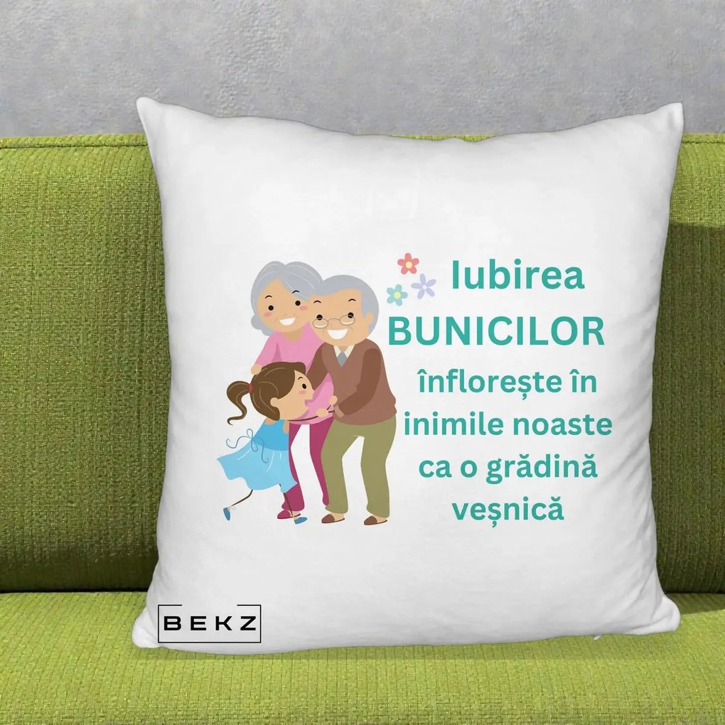 Cadou pentru Bunici - Perna Personalizata Bunicii Iubirea Infloreste cu Nepoata Teal, 40x40 cm, Alb Pufos, Husa Detasabila, Perna Inclusa, BEKZ®