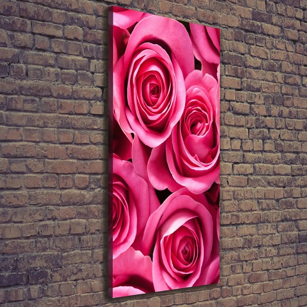 Print pe canvas Trandafiri roz