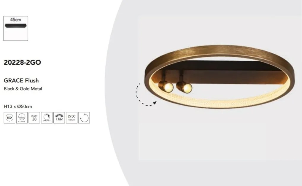 Lustra moderna aplicata cu inel LED dimabil Grace