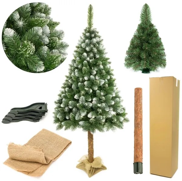 Pom de Crăciun pe trunchi 180 cm pin