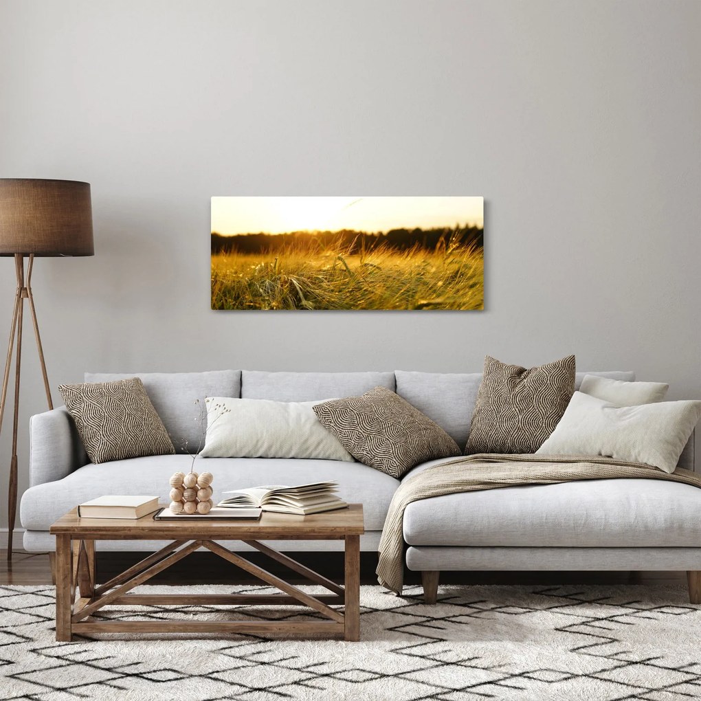 Tablou iarba cu rouă (120x50 cm)