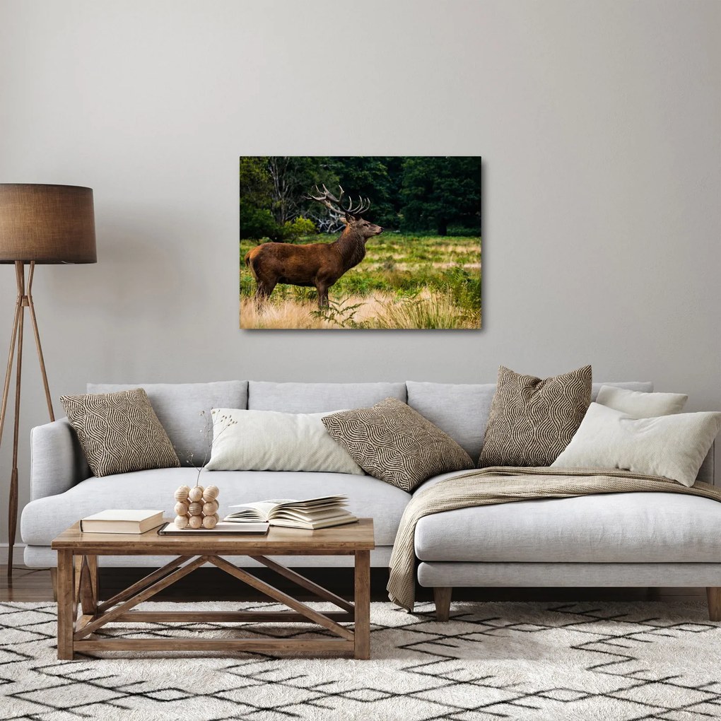 Tablou cu cerb (70x50 cm)