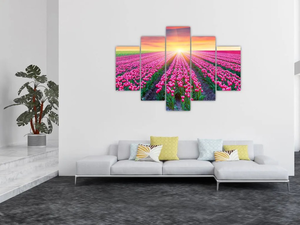 Tablou cu câmp de lalele cu soare (150x105 cm)