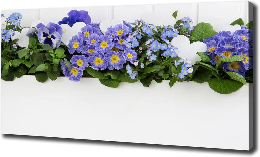 Tablouri tipărite pe pânză Flori albastre