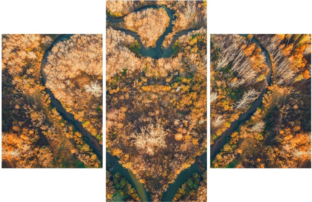 Tablou - Râu în formă de inimă (90x60 cm)