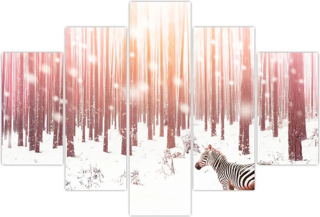 Tablou - Zebra în pădurea înzăpezită (150x105 cm)