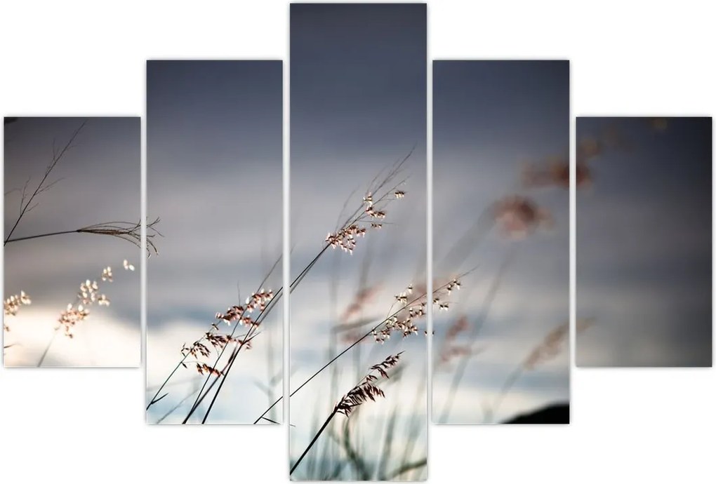 Tablou -Flori de luncă (150x105 cm)
