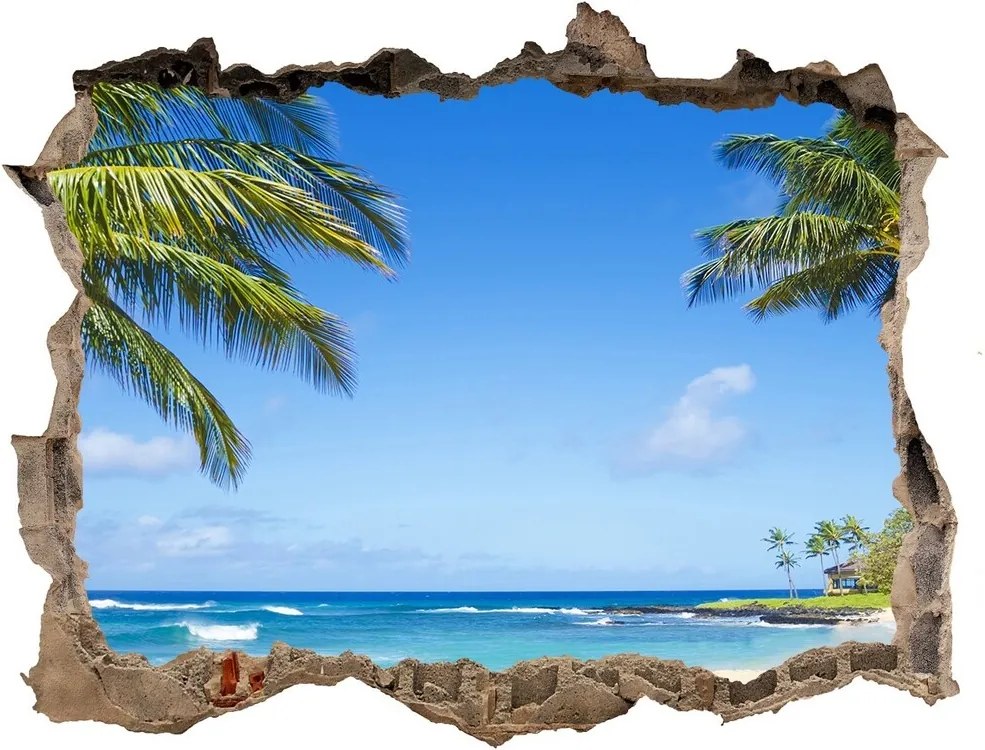 Autocolant gaură 3D Plaja tropicala