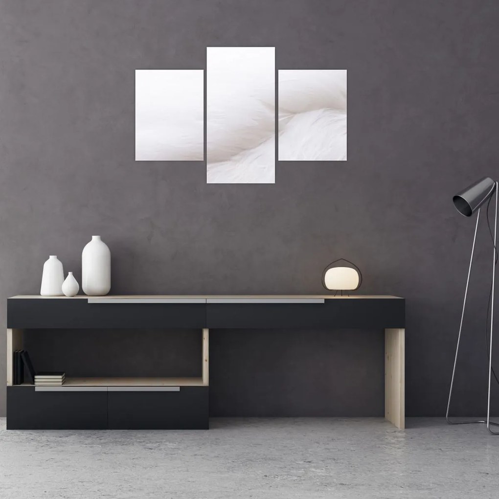 Tablou - Detalii pene (90x60 cm)