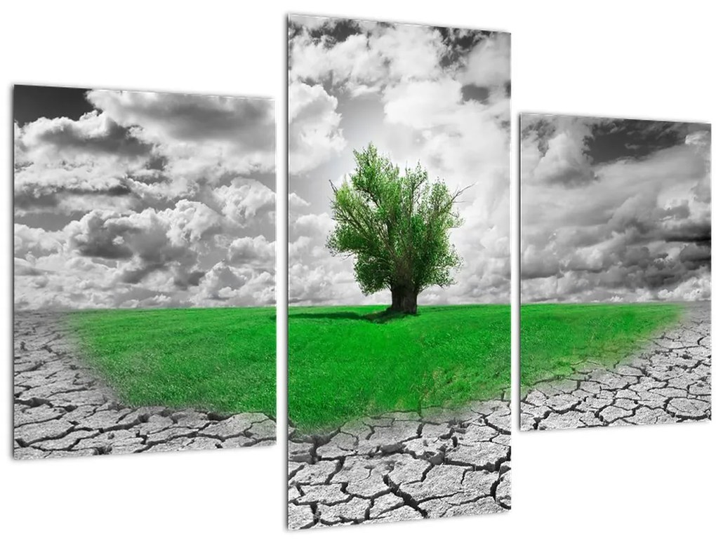 Tablou - O bucată de natură în oraș (90x60 cm)