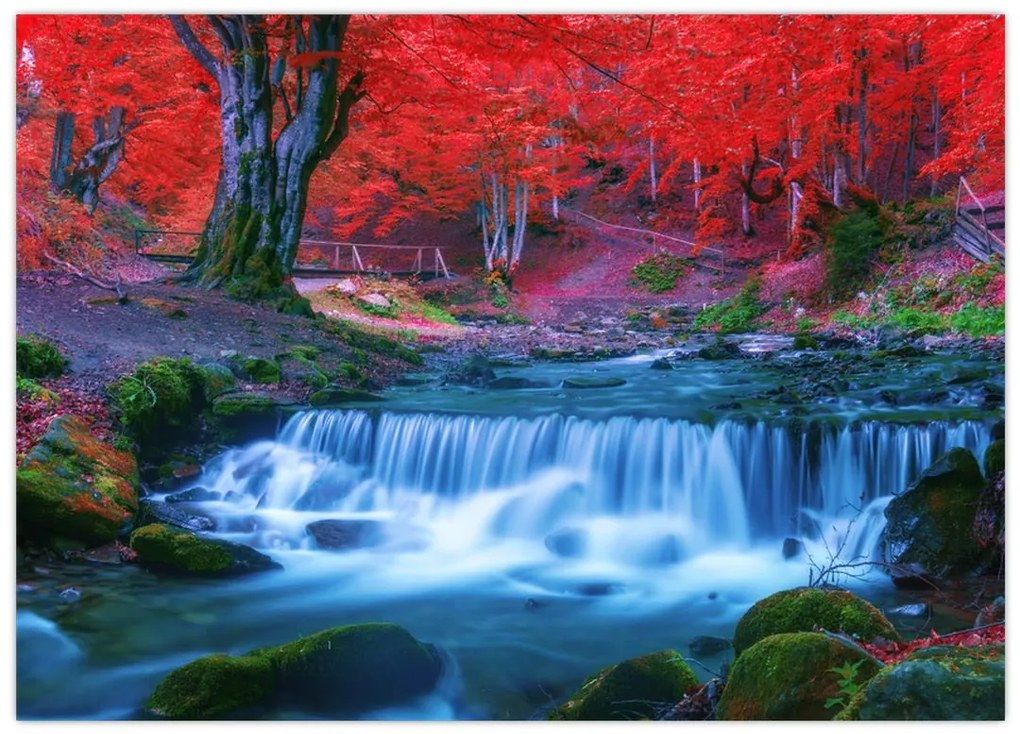 Tablou pe sticlă - Cascada în pădurea roșie (70x50 cm)