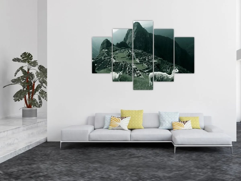 Tablou - Lamas la Machu Picchu în Peru (150x105 cm)