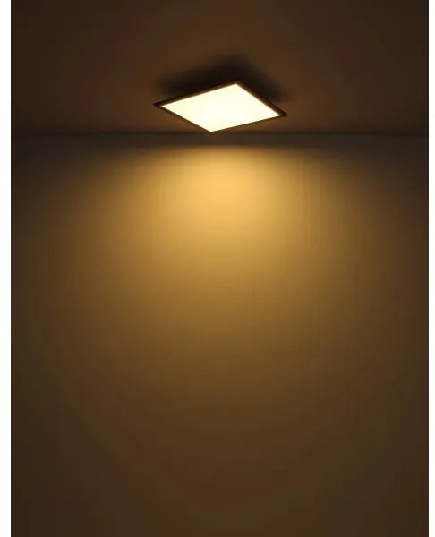 Plafonieră LED Globo 41582D2 DOHA LED/24W/230V