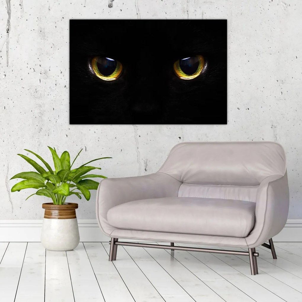 Tablou - Ochi de pisică (90x60 cm)