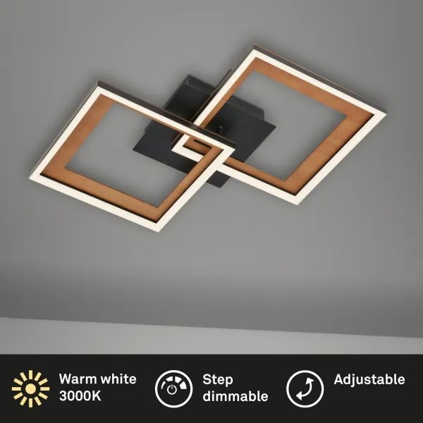 Lustră LED dimabilă aplicată FRAME 2xLED/11W/230V Brilo