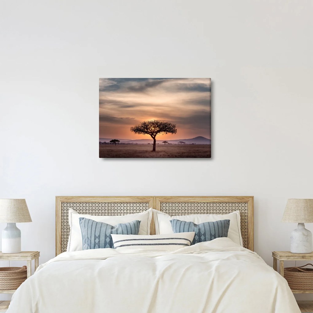 Tablou apusului de soare în Tanzania (70x50 cm)