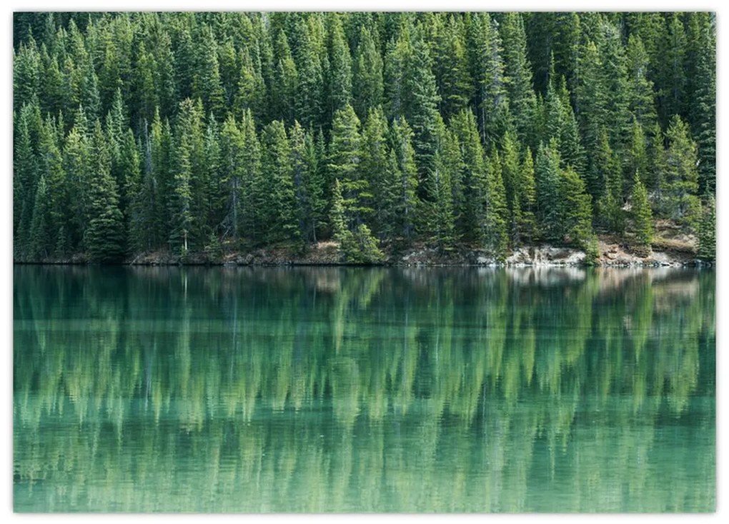 Tablou - Coniferi lângă lac (70x50 cm)