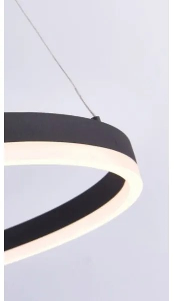 Lustră LED pe cablu dimabilă TITUS LED/38,5W/230V Paul Neuhaus 2382-13