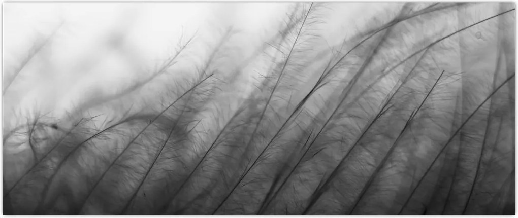 Tablou - Iarba în vânt (120x50 cm)