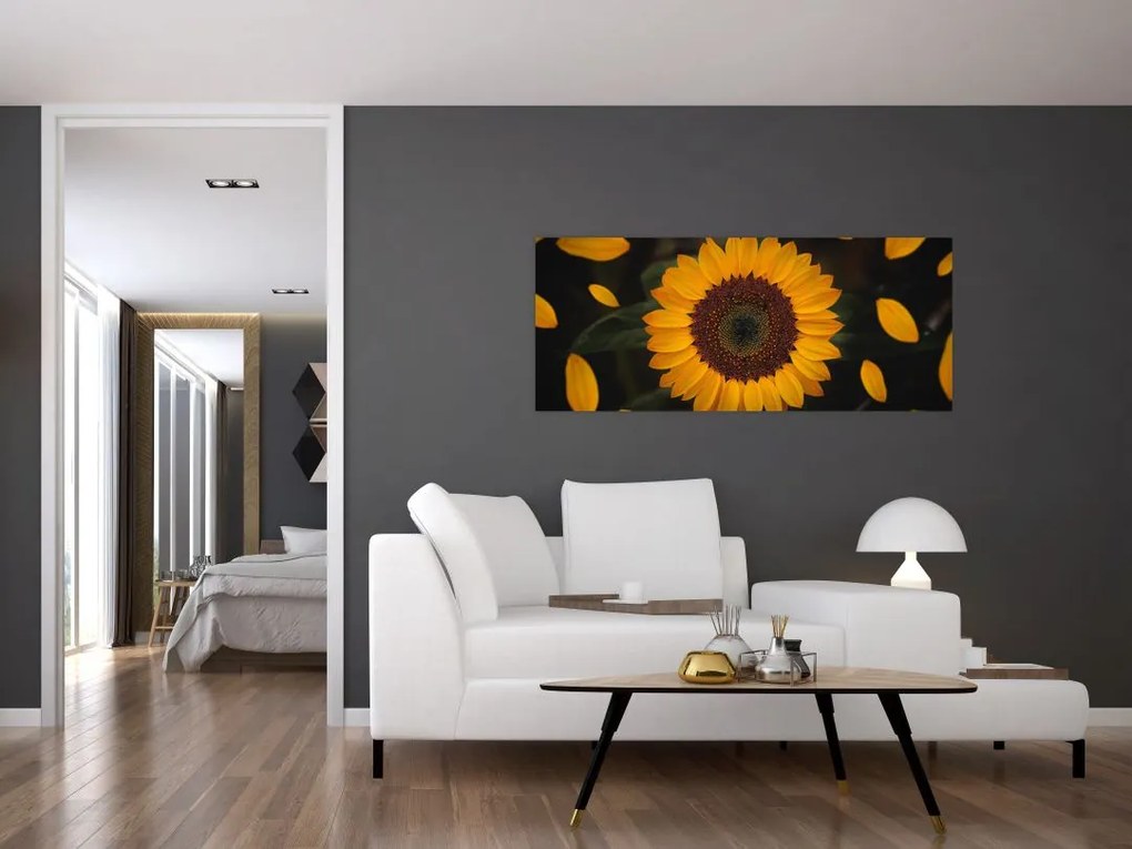 Tablou - Floarea soarelui și petale (120x50 cm)