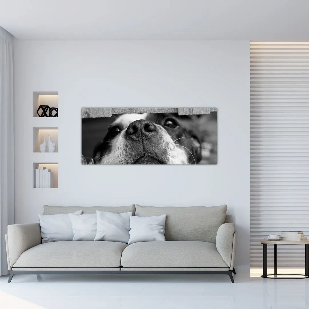 Tablou cu câine (120x50 cm)