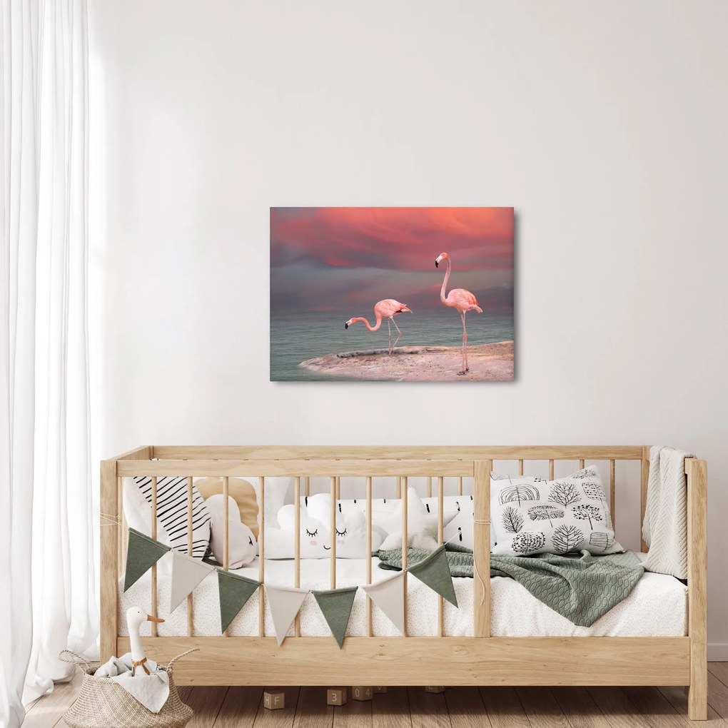 Tablou - Flamingo (70x50 cm)