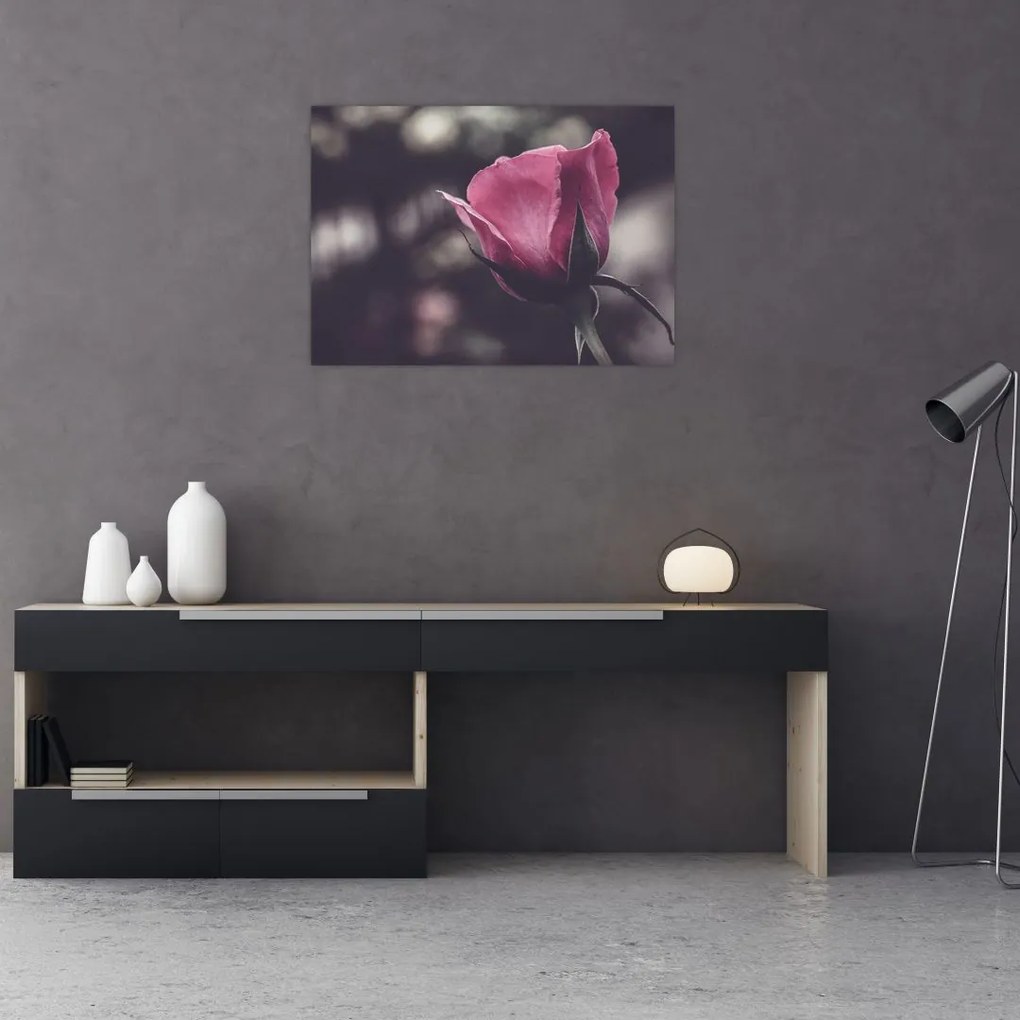Tablou pe sticlă - Detaliu florii de trandafir (70x50 cm)