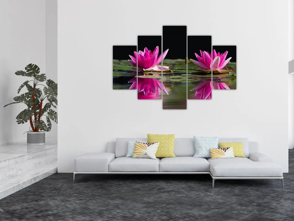 Tablou - Nuferi pe apă (150x105 cm)