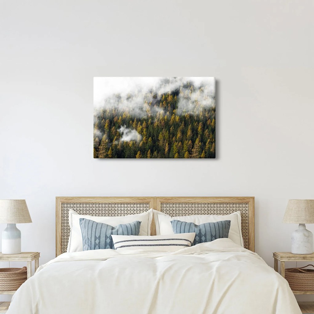 Tablou - Pădure în nori (90x60 cm)
