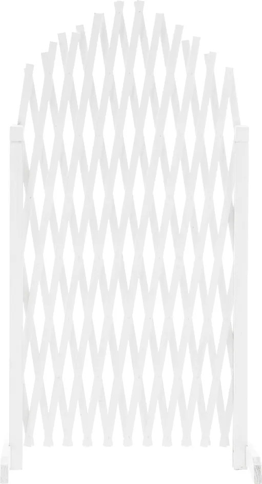 Ecran grilaj, alb/lemn, 250 cm, KEJLY