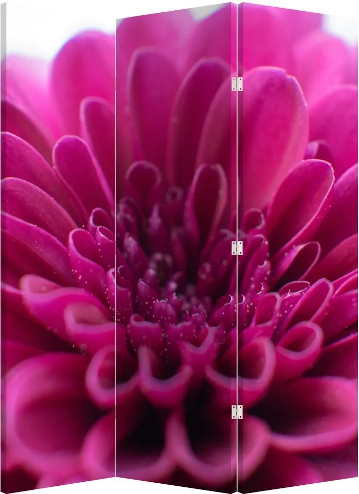 Paravan - Floare (126x170 cm)