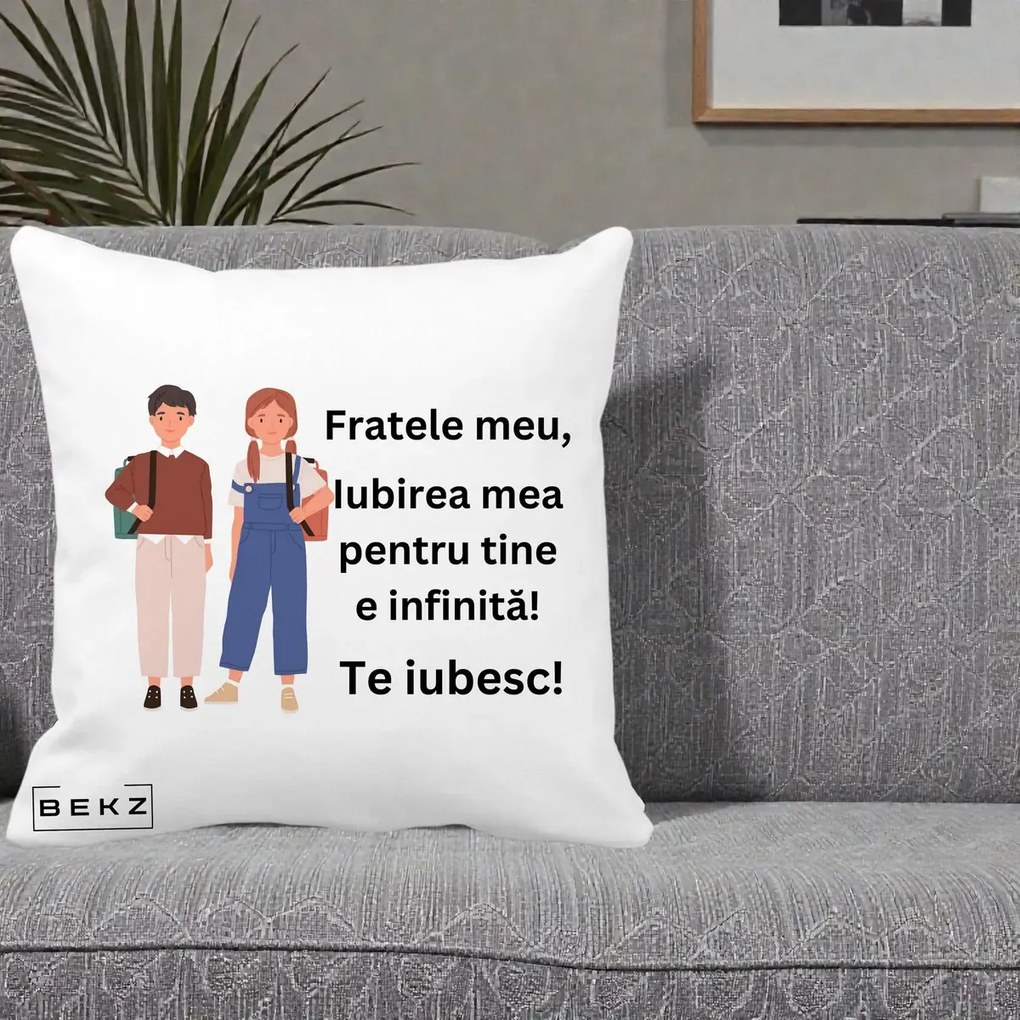 Cadou pentru Frate - Perna Personalizata Fratele Meu Te Iubesc Elevi Ilustratie Colorata, 40x40 cm, Alba Mata, Husa Detasabila, Perna Inclusa, BEKZ®