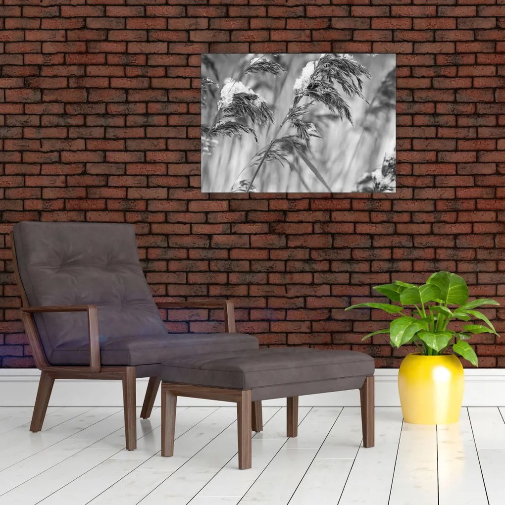 Tablou - Tei,alb-negru (70x50 cm)